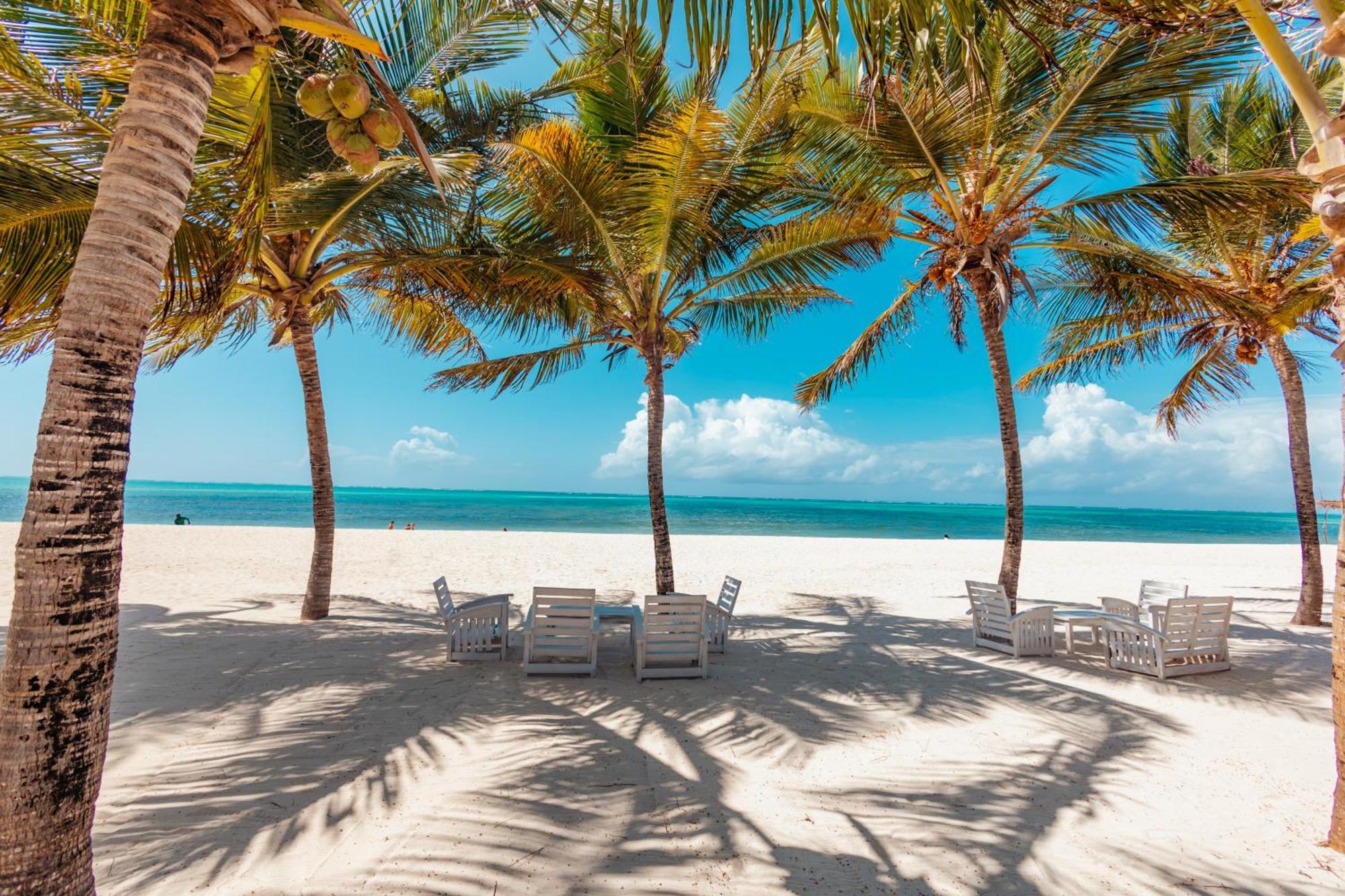 Twiga Beach Resort Watamu Eksteriør bilde