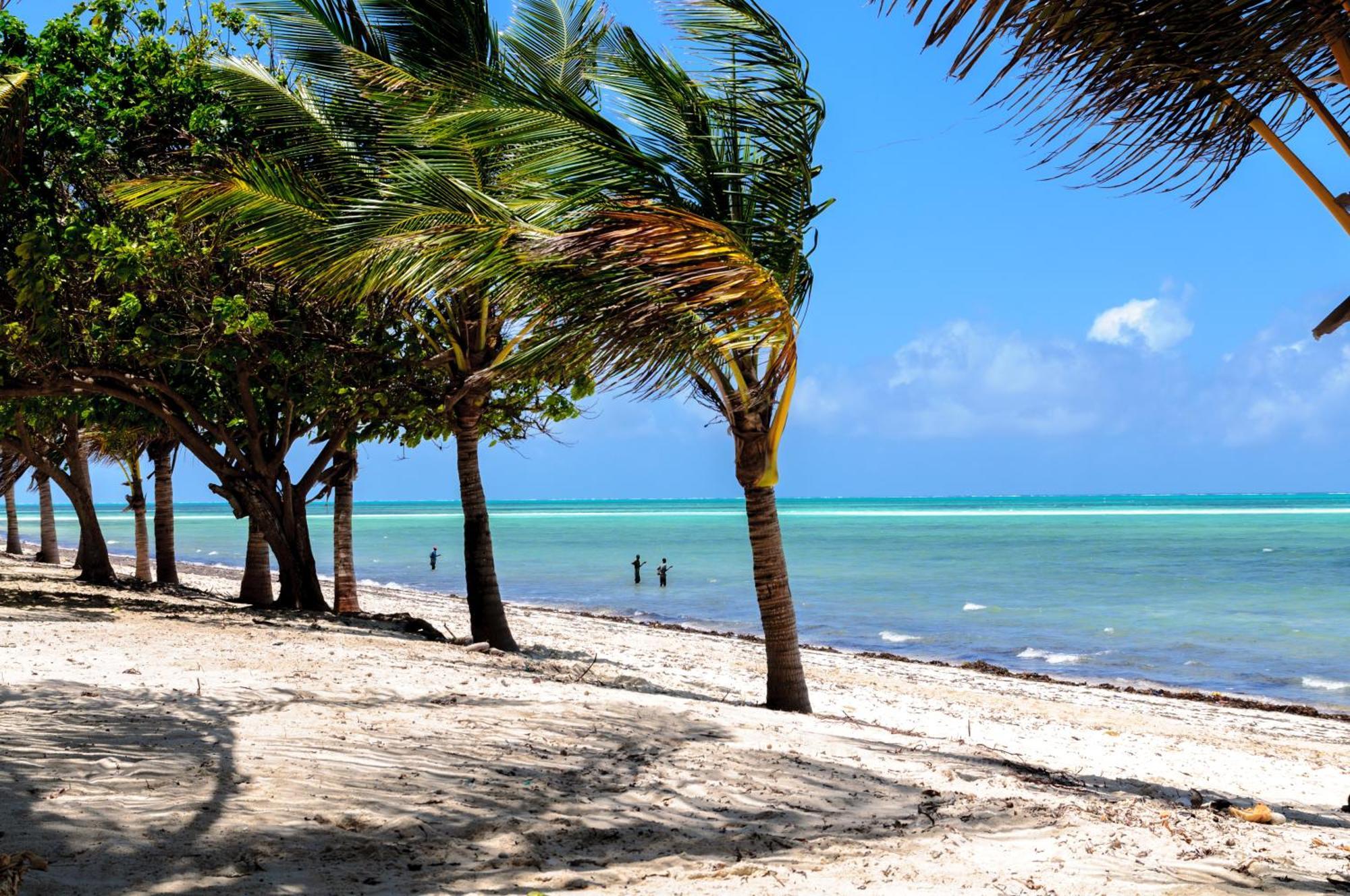 Twiga Beach Resort Watamu Eksteriør bilde